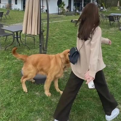 新边城浪子